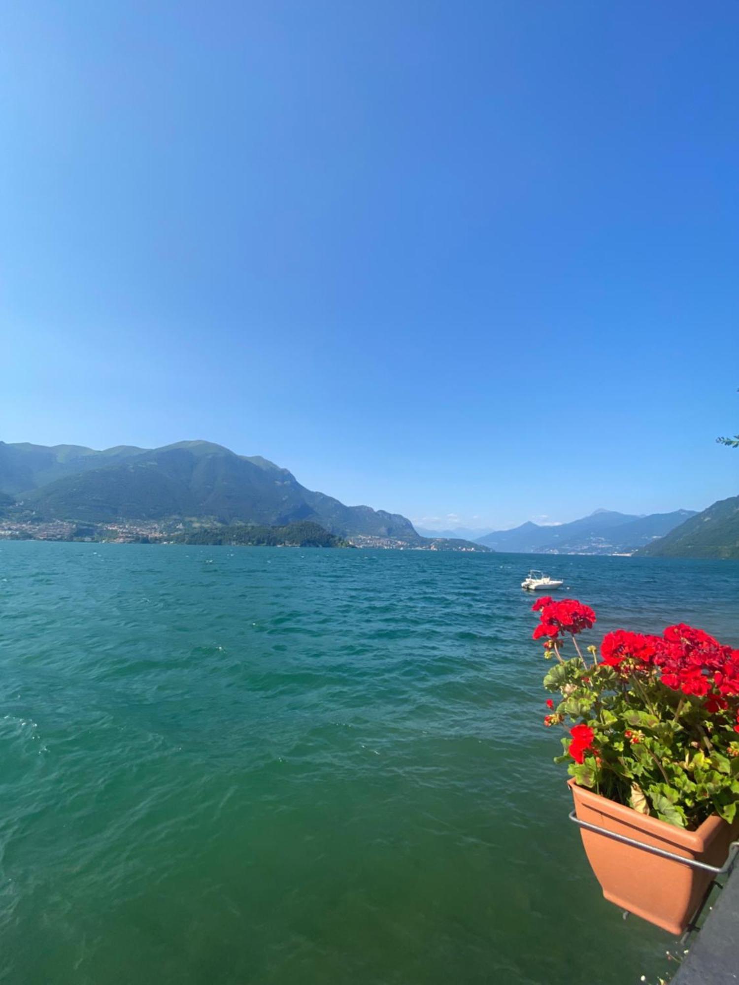 Peonia Apartment - Appartamento Vista Lago Lezzeno Luaran gambar
