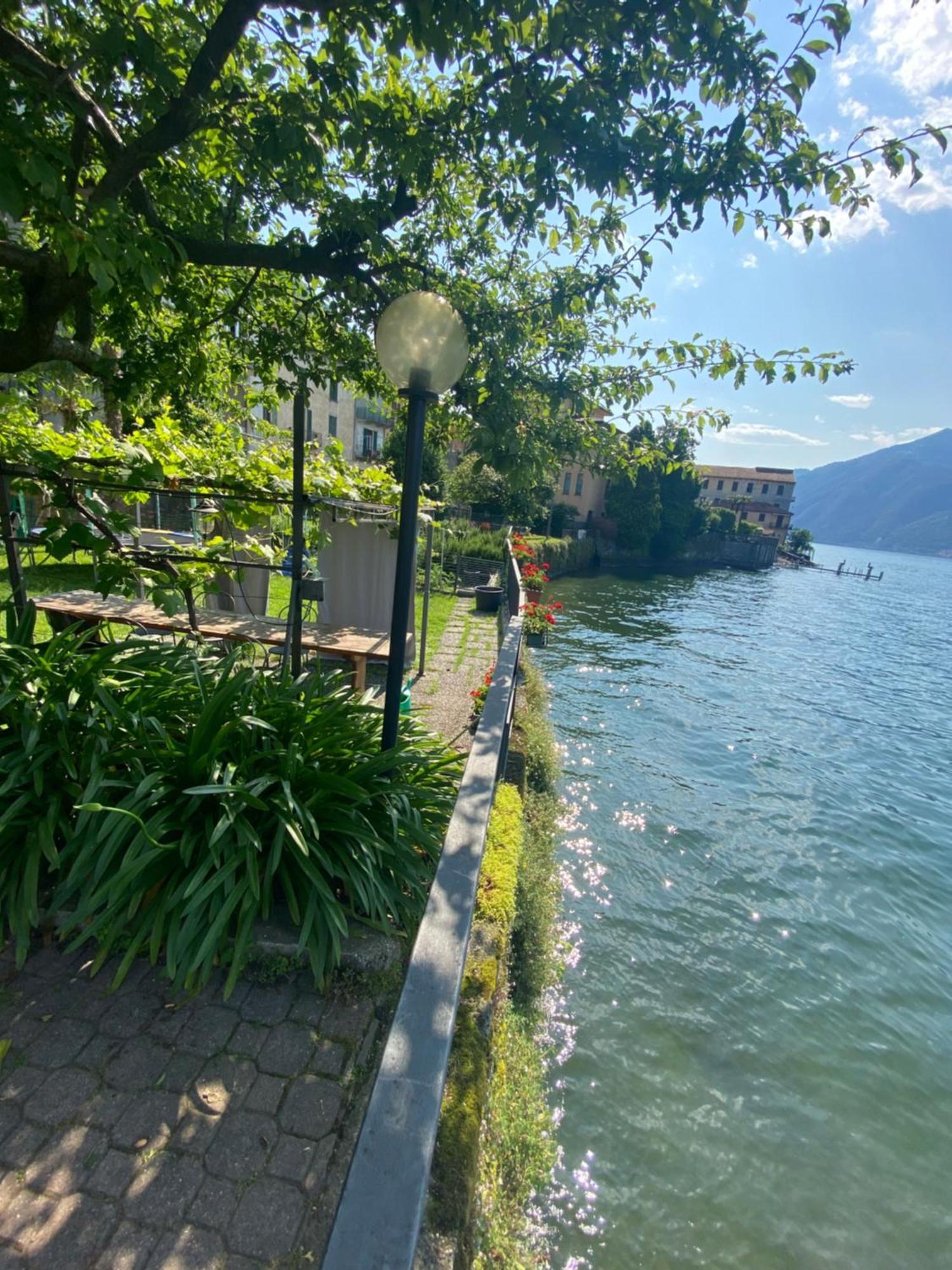 Peonia Apartment - Appartamento Vista Lago Lezzeno Luaran gambar