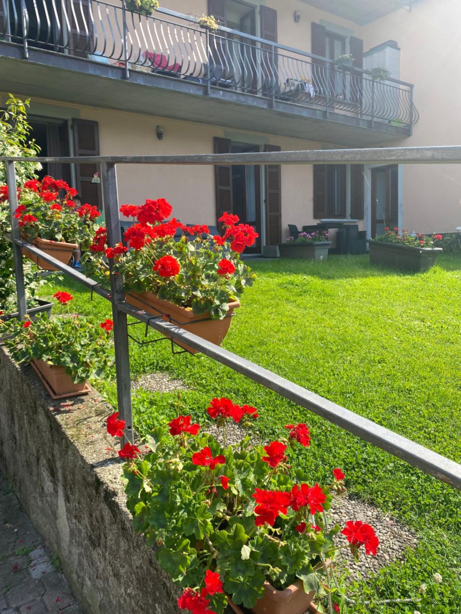 Peonia Apartment - Appartamento Vista Lago Lezzeno Luaran gambar
