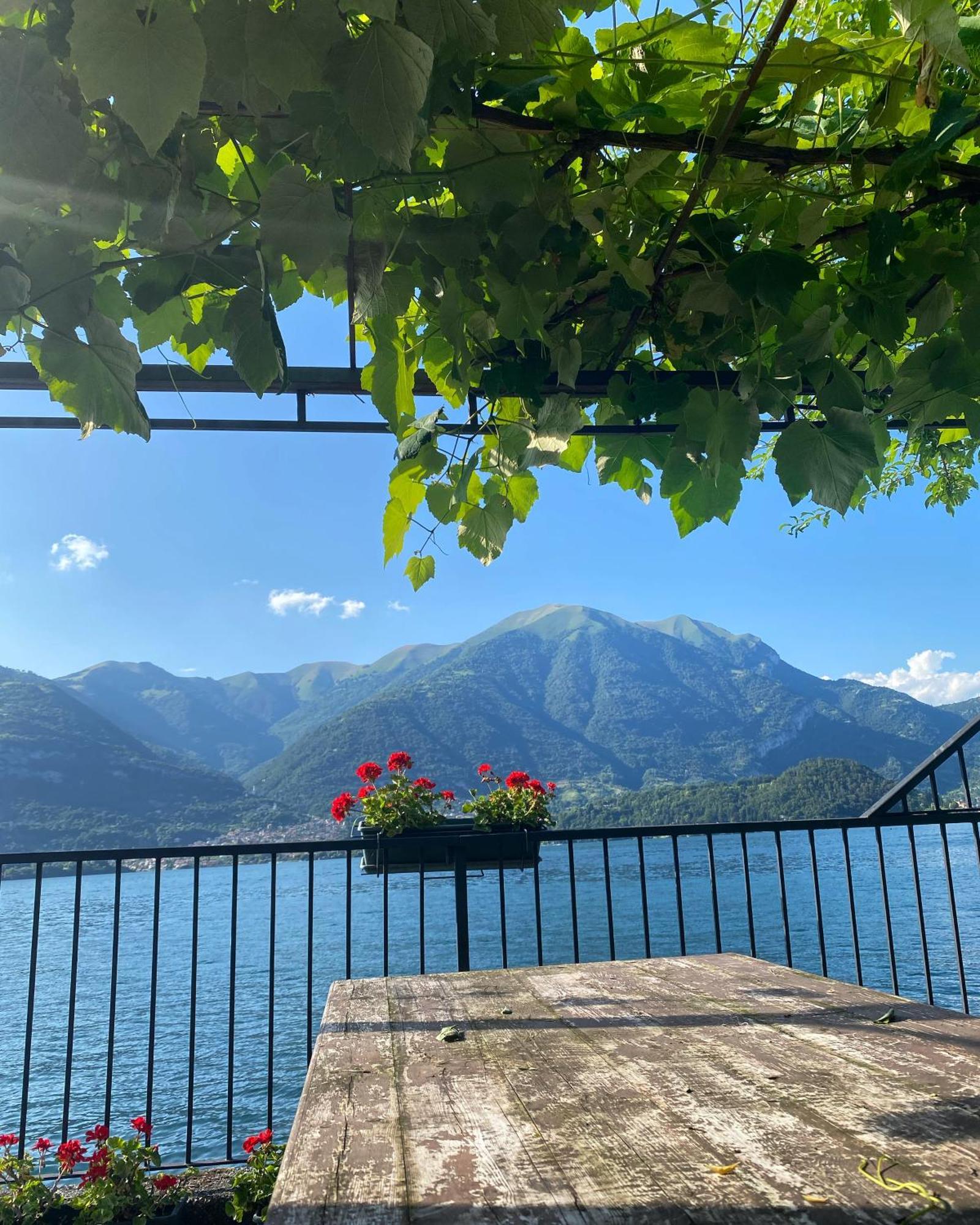 Peonia Apartment - Appartamento Vista Lago Lezzeno Luaran gambar