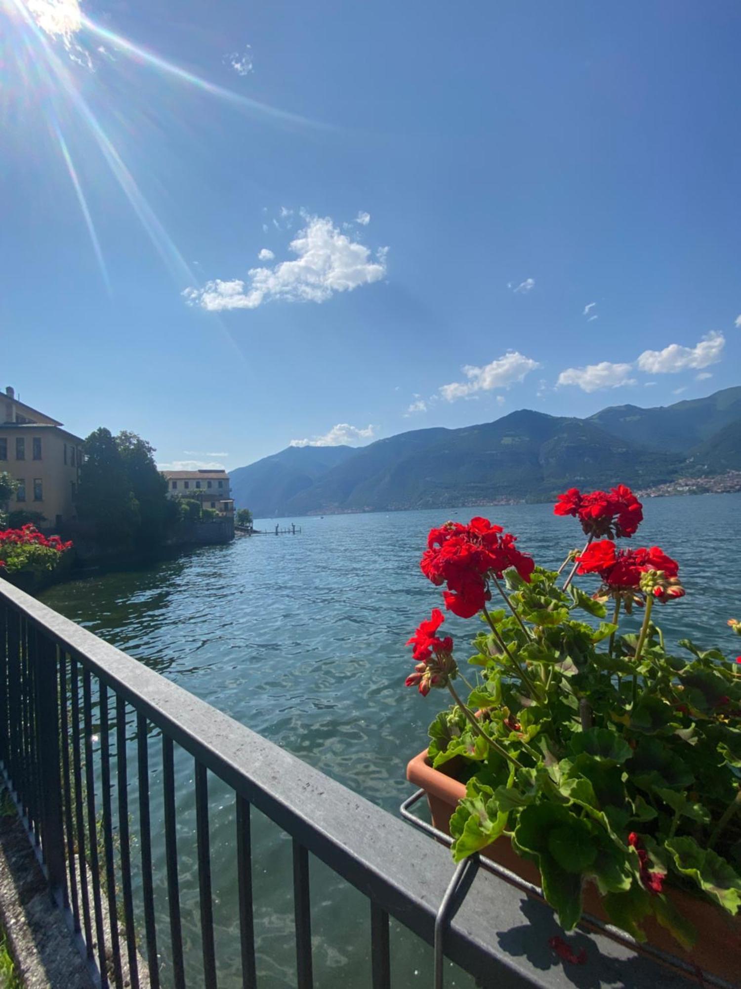 Peonia Apartment - Appartamento Vista Lago Lezzeno Luaran gambar