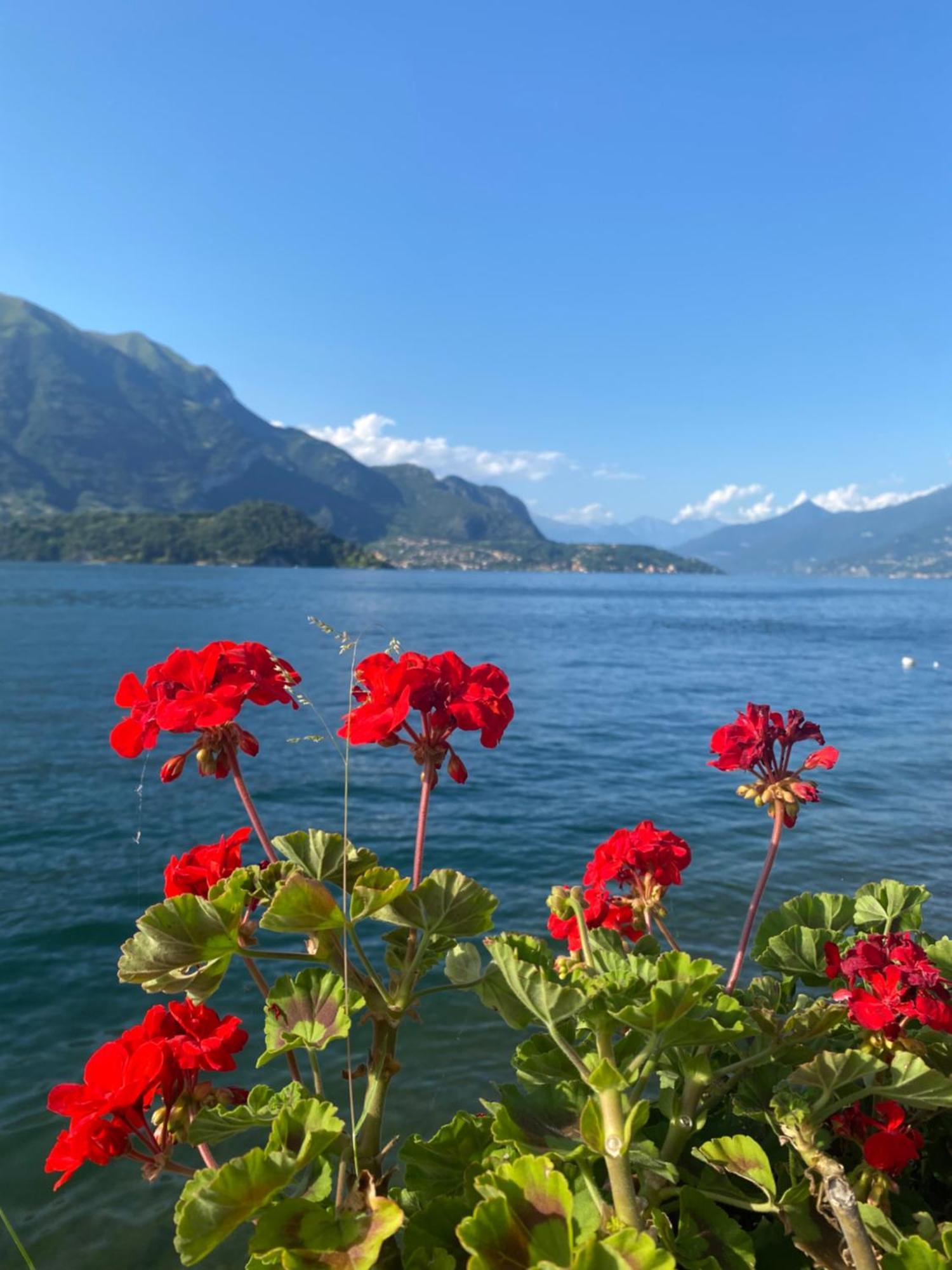 Peonia Apartment - Appartamento Vista Lago Lezzeno Luaran gambar